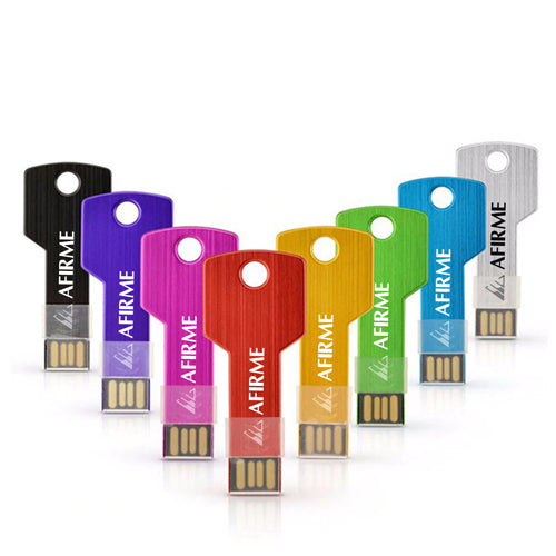 Key-Shape USB Flash Drive